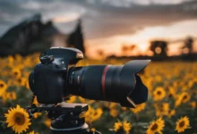 Social media growth Proven Hacks: Explode Your Reach